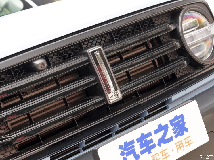 长城汽车 坦克300 2021款 2.0T 致敬莫奈限定版