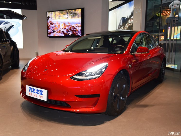 特斯拉中国 Model 3 2020款 标准续航后驱升级版